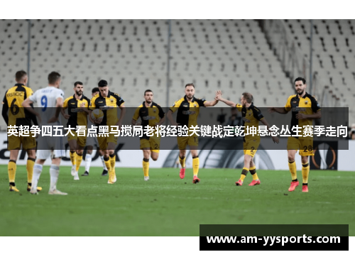 英超争四五大看点黑马搅局老将经验关键战定乾坤悬念丛生赛季走向 英超争四五大看点黑马搅局老将经验关键战定乾坤悬念丛生赛季走向